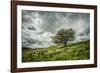 Blowing Over-Mark Gemmell-Framed Photographic Print