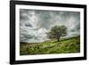 Blowing Over-Mark Gemmell-Framed Photographic Print