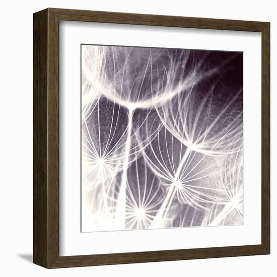 Blown Away-Anna Polanski-Framed Art Print