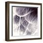 Blown Away-Anna Polanski-Framed Art Print