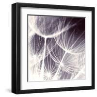 Blown Away-Anna Polanski-Framed Art Print