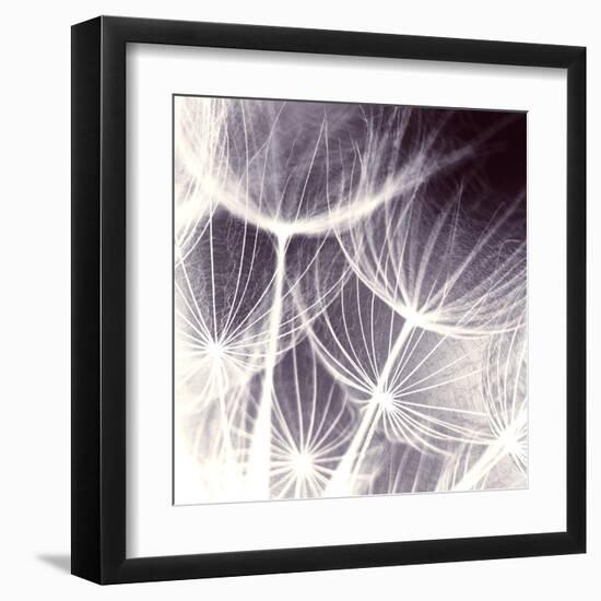 Blown Away-Anna Polanski-Framed Art Print