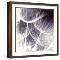 Blown Away-Anna Polanski-Framed Art Print