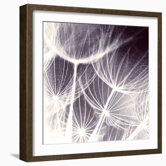 Blown Away-Anna Polanski-Framed Art Print