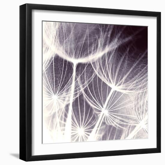 Blown Away-Anna Polanski-Framed Art Print