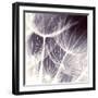 Blown Away-Anna Polanski-Framed Art Print