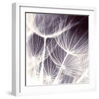 Blown Away-Anna Polanski-Framed Art Print