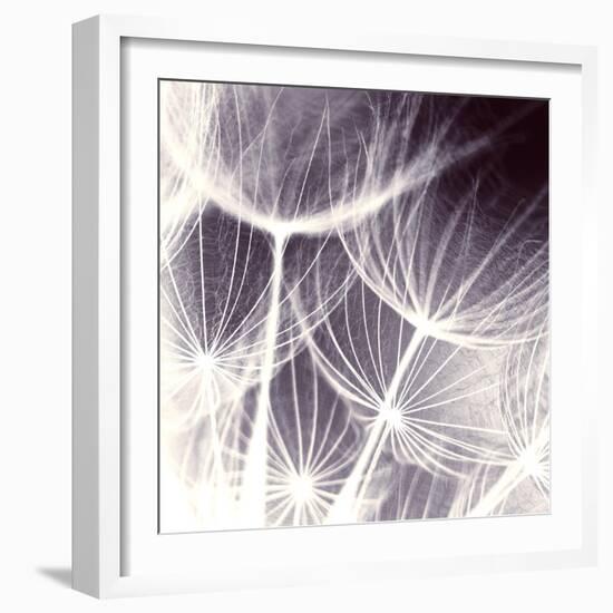 Blown Away-Anna Polanski-Framed Art Print