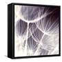 Blown Away-Anna Polanski-Framed Stretched Canvas