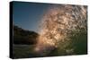 Blown Glass-Wave breaking off N. Stradbroke Island, Queensland, Australia-Mark A Johnson-Stretched Canvas