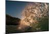 Blown Glass-Wave breaking off N. Stradbroke Island, Queensland, Australia-Mark A Johnson-Mounted Photographic Print