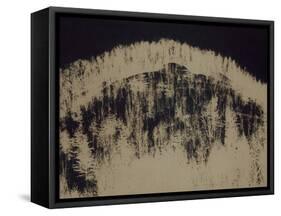 Blown-Petr Strnad-Framed Stretched Canvas