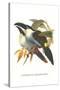 Blsck Billed Mountain Toucan-John Gould-Stretched Canvas