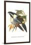 Blsck Billed Mountain Toucan-John Gould-Framed Art Print