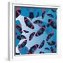 Blu Bombs-Belen Mena-Framed Giclee Print