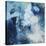 Blu Flo-Randy Hibberd-Stretched Canvas