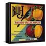 Blu-J Apple Crate Label - Watsonville, CA-Lantern Press-Framed Stretched Canvas