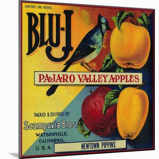 Blu-J Apple Crate Label - Watsonville, CA-Lantern Press-Mounted Art Print