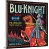 Blu-Knight Brand-null-Mounted Art Print