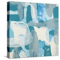 Blu Surprise-Randy Hibberd-Stretched Canvas