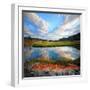 Blue Above and Below-Philippe Sainte-Laudy-Framed Photographic Print