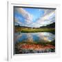 Blue Above and Below-Philippe Sainte-Laudy-Framed Photographic Print