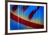 Blue Abstract 1-Ursula Abresch-Framed Photographic Print