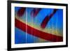 Blue Abstract 1-Ursula Abresch-Framed Photographic Print