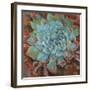 Blue Agave II-Jillian David-Framed Art Print