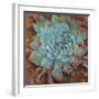 Blue Agave II-Jillian David-Framed Art Print