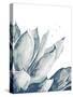 Blue Agave on White II-Patricia Pinto-Stretched Canvas