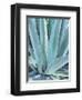 Blue Agave-Alana Clumeck-Framed Art Print