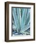 Blue Agave-Alana Clumeck-Framed Art Print