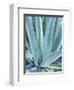 Blue Agave-Alana Clumeck-Framed Art Print