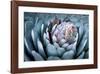 Blue Aloe-Dennis Frates-Framed Giclee Print