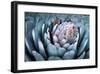 Blue Aloe-Dennis Frates-Framed Giclee Print