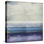 Blue & Amethyst-Taylor Hamilton-Stretched Canvas