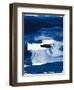 Blue Amore II-Sisa Jasper-Framed Art Print