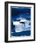 Blue Amore II-Sisa Jasper-Framed Art Print