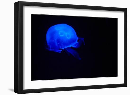 Blue and black III-Peter Morneau-Framed Art Print