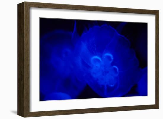 Blue and black IV-Peter Morneau-Framed Art Print