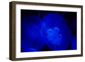 Blue and black IV-Peter Morneau-Framed Art Print