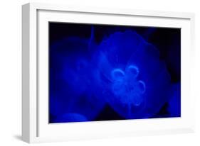 Blue and black IV-Peter Morneau-Framed Art Print