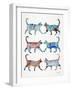 Blue and Brown Cat Collection-Cat Coquillette-Framed Giclee Print