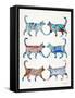 Blue and Brown Cat Collection-Cat Coquillette-Framed Stretched Canvas