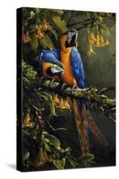 Blue and Gold Macaw-Michael Jackson-Stretched Canvas