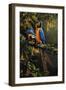 Blue and Gold Macaw-Michael Jackson-Framed Giclee Print