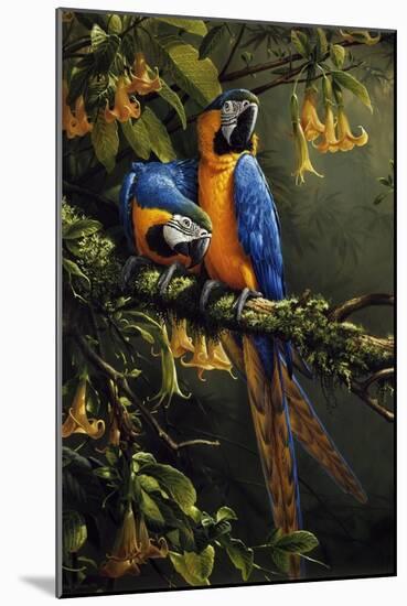 Blue and Gold Macaw-Michael Jackson-Mounted Giclee Print