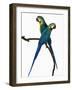 Blue-and-Gold Macaws-Martin Harvey-Framed Photographic Print