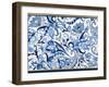 Blue and Gold Paisleys 1-Kimberly Allen-Framed Art Print